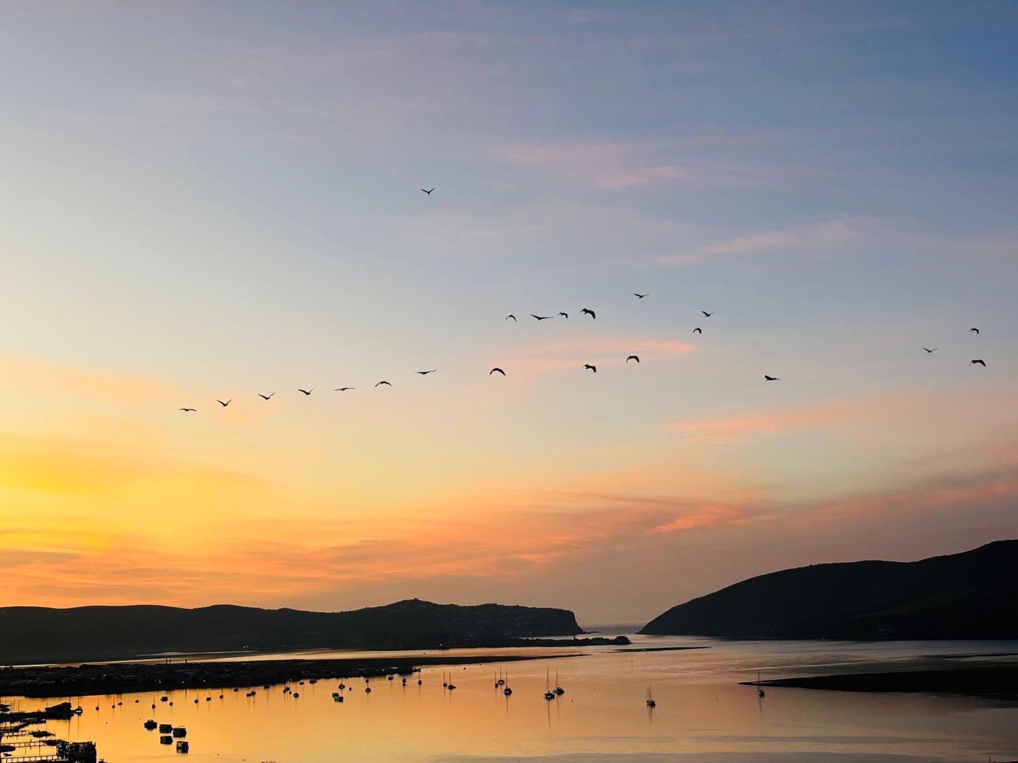 De View Bed & Breakfast Knysna Luaran gambar